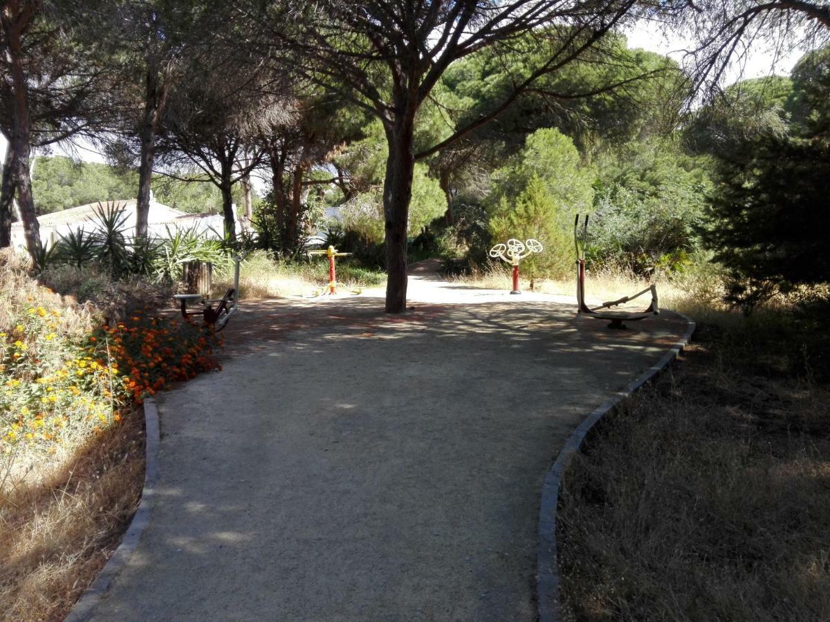Apartamento En Los Patios De Santa Maria Golf Marbellac Extérieur photo